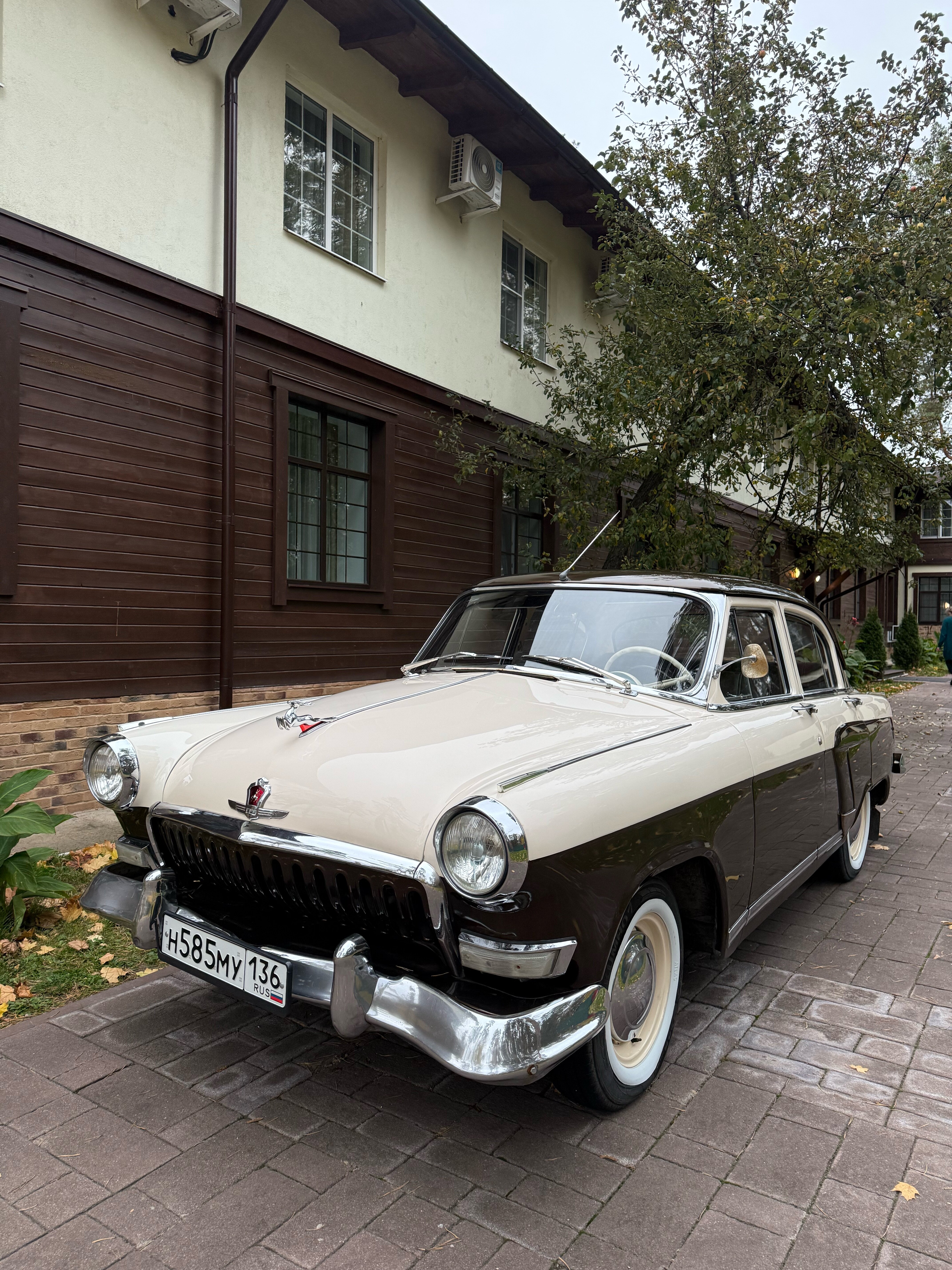 Фото Икорец