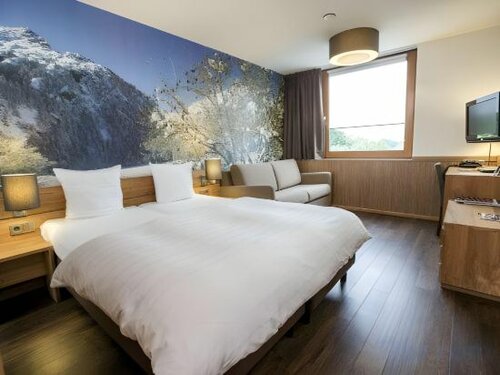 Внешний вид отеля Alpine Hotel SnowWorld в Ландграафе, фото 2