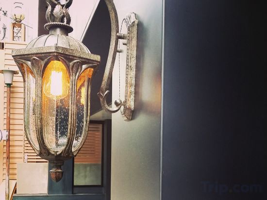 Фото Shinchon Peter Cat