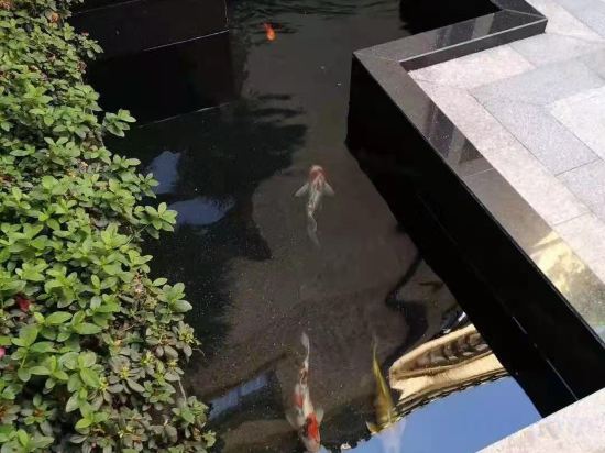 Фото Yishiyuan Hotel