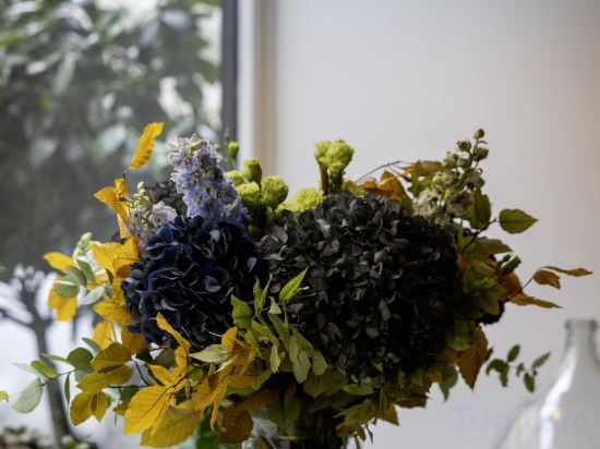 Фото Maxim Opéra