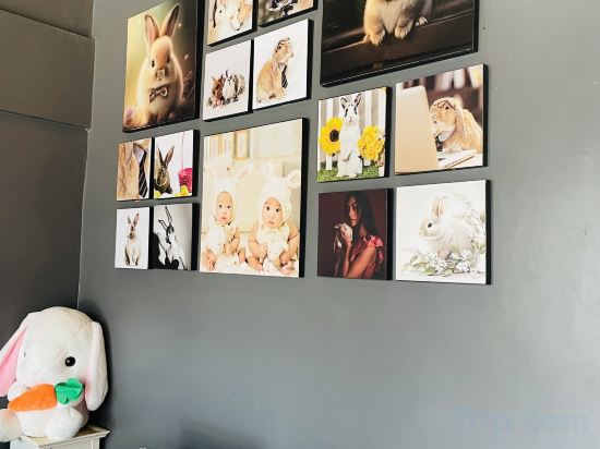 Фото Rabbitel Phuket