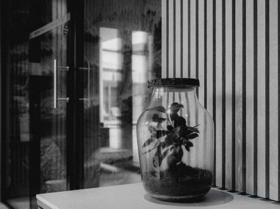 Фото Gasthof Und Hotel Traunsteiner Hof