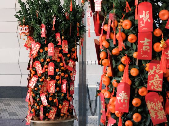 Фото JW Marriott Marquis Hotel Shanghai Pudong