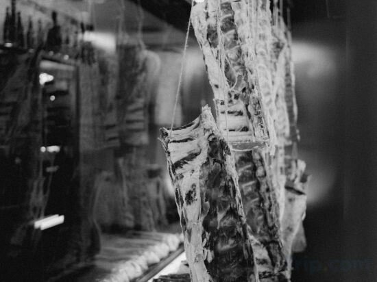 Фото Gasthof Und Hotel Traunsteiner Hof