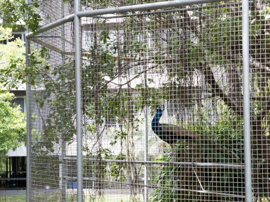 Фото The Leela Resort & SPA Pattaya