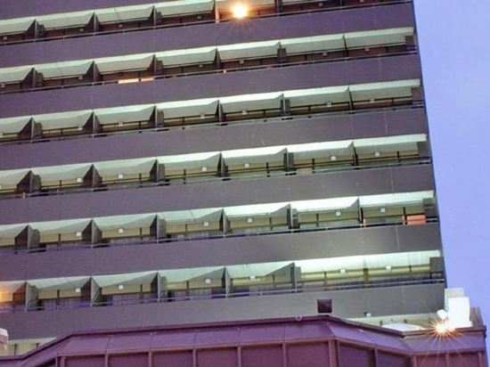 Фото Holiday Inn Cairo Maadi