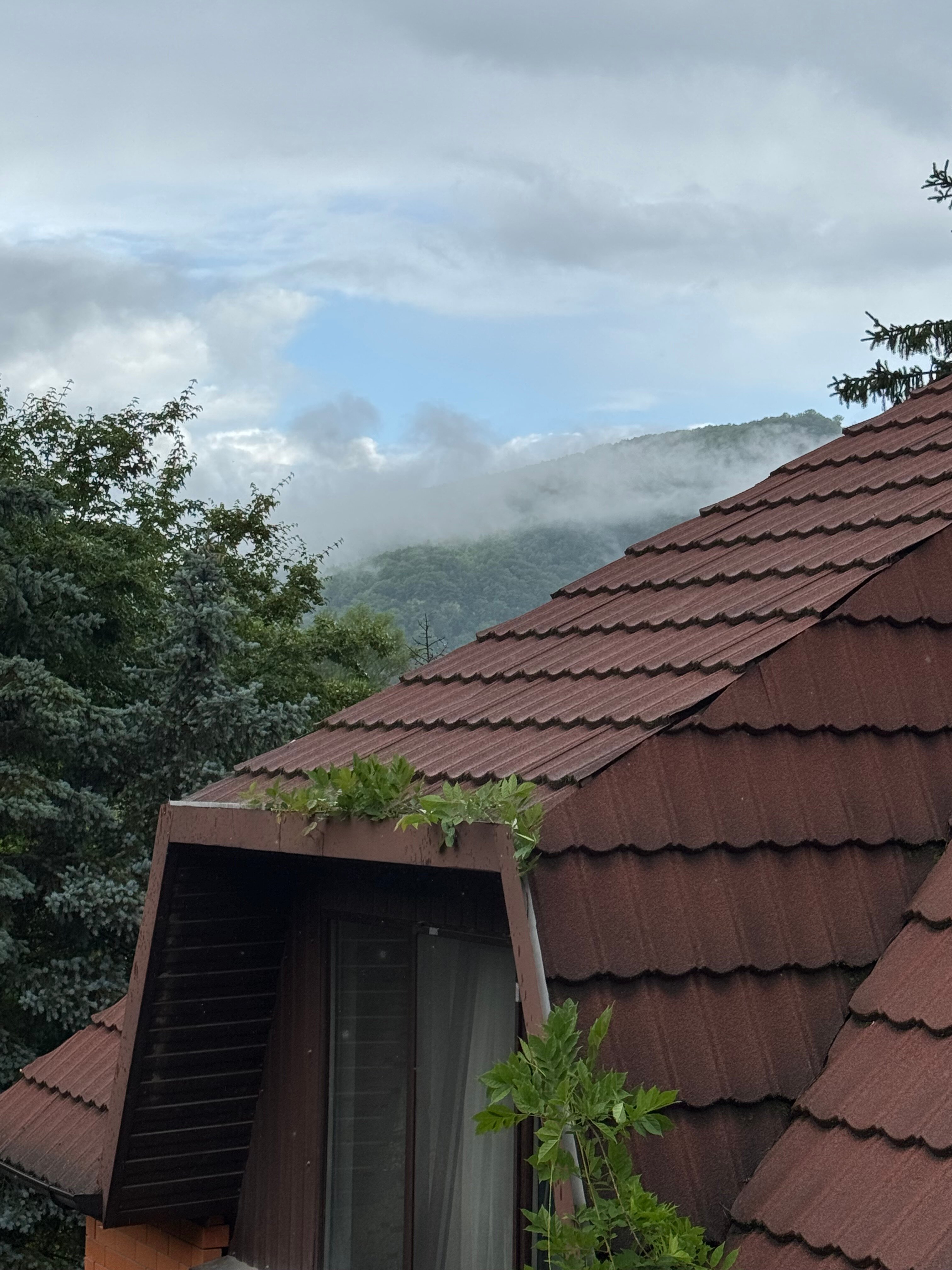 Фото Эдельвейс Ретро