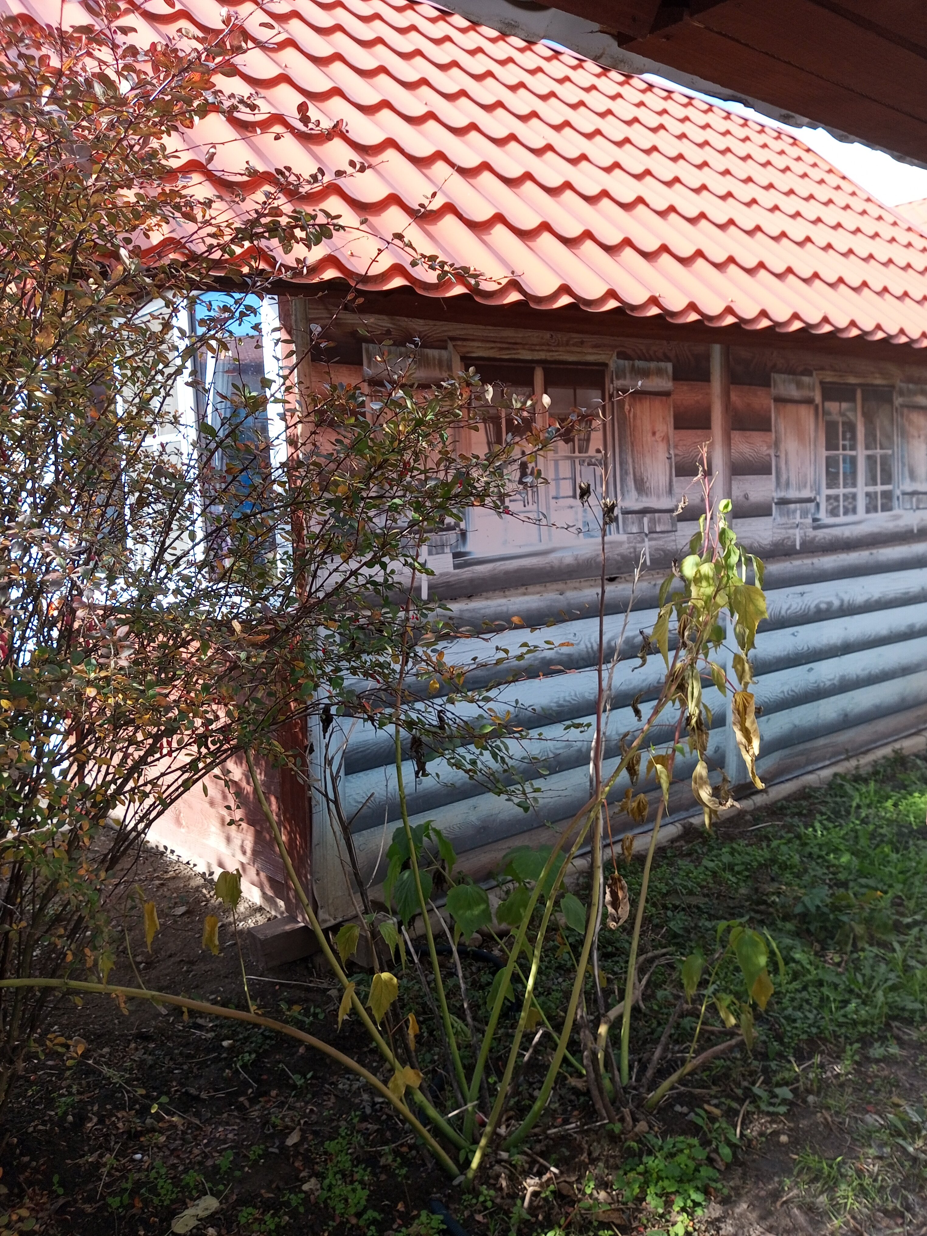 Фото Золотой ключик