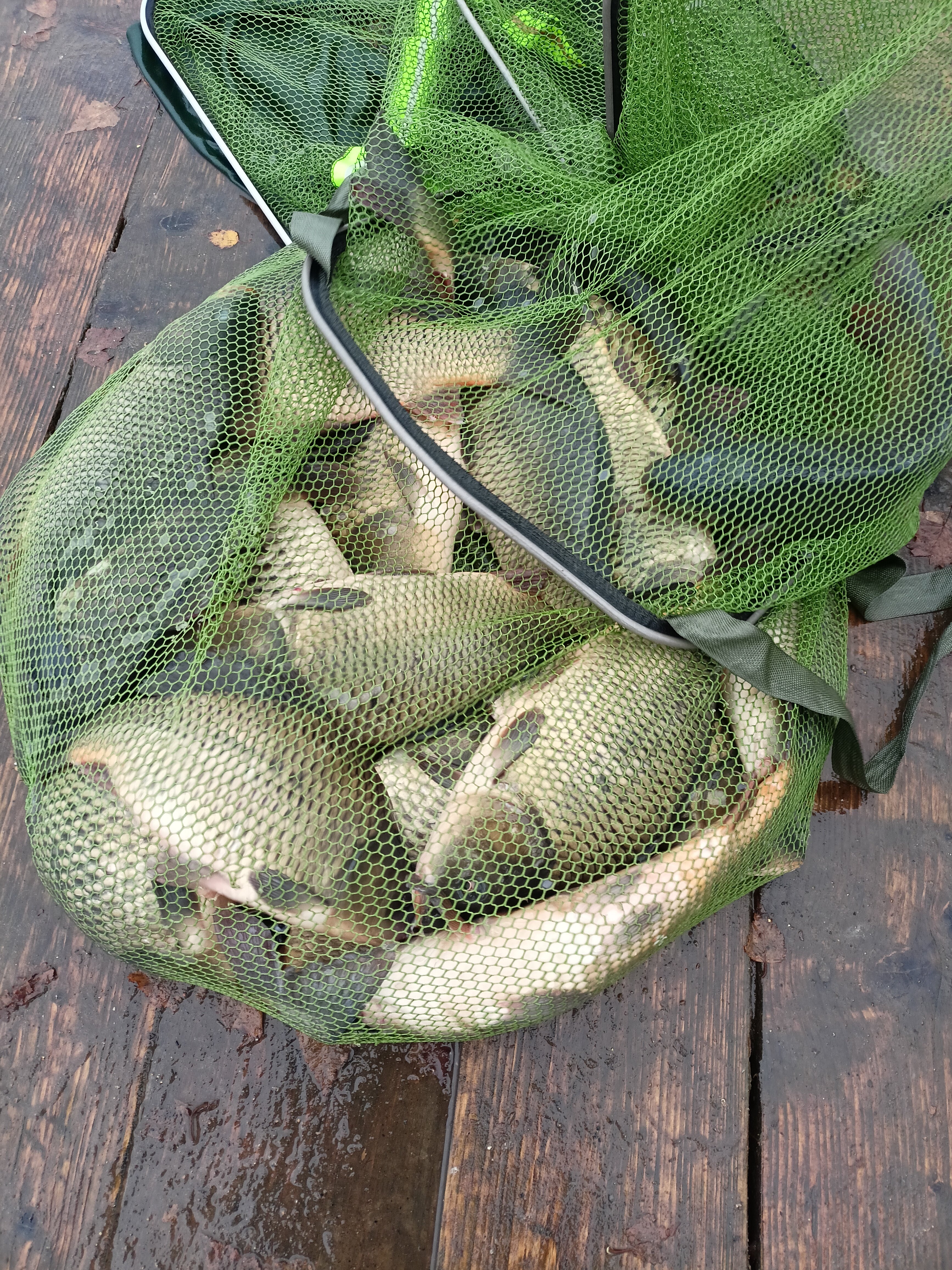 Фото Рыбацкое подворье Владимировка