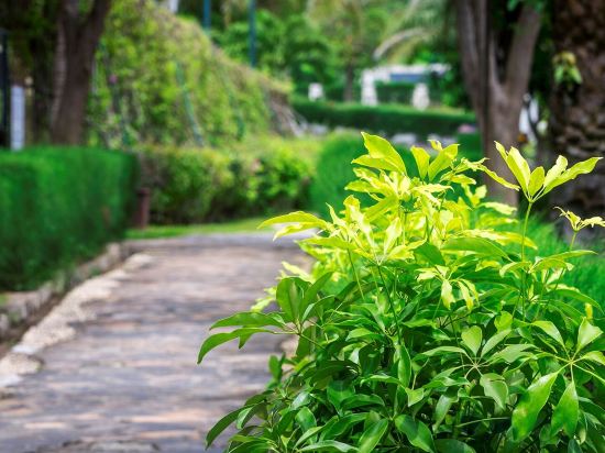 Фото Romana Resort & SPA