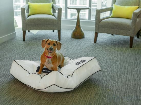 Фото The Westin Boston Seaport District