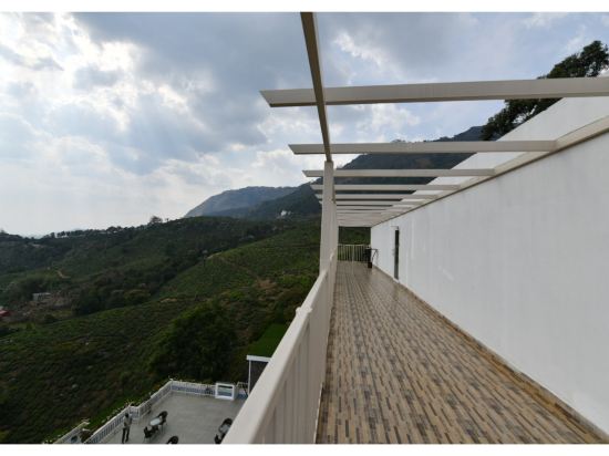 Фото Chandys Windy Woods