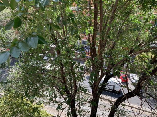 Фото SmooRoomS Trastevere