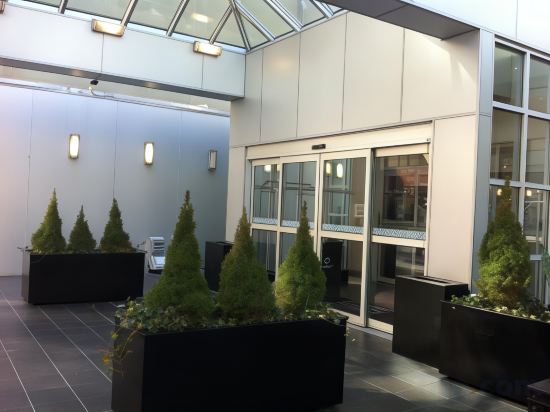 Фото Four Points by Sheraton Manhattan SoHo Village