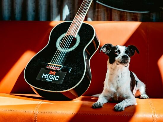 Фото Ibis Marseille Provence Aeroport