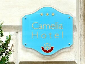 Гостиница Hotel Camelia