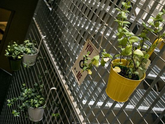 Фото Hostel Trastevere by Hostal Trustever