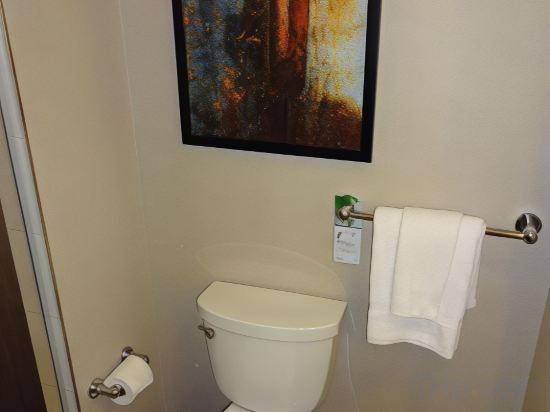 Фото Residence Inn Marriott New York Downtown Manhattan/WTC Area