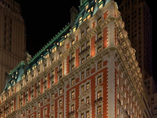 Фото The Knickerbocker