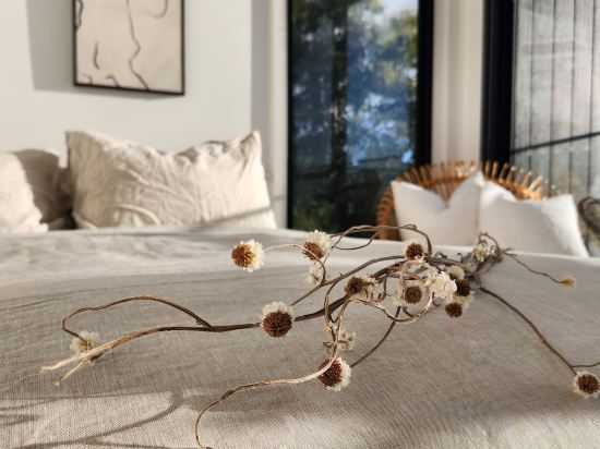 Фото Black + Shack