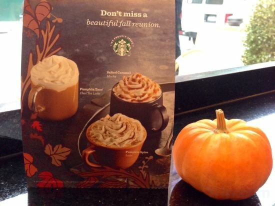 Фото Sheraton Brooklyn New York Hotel