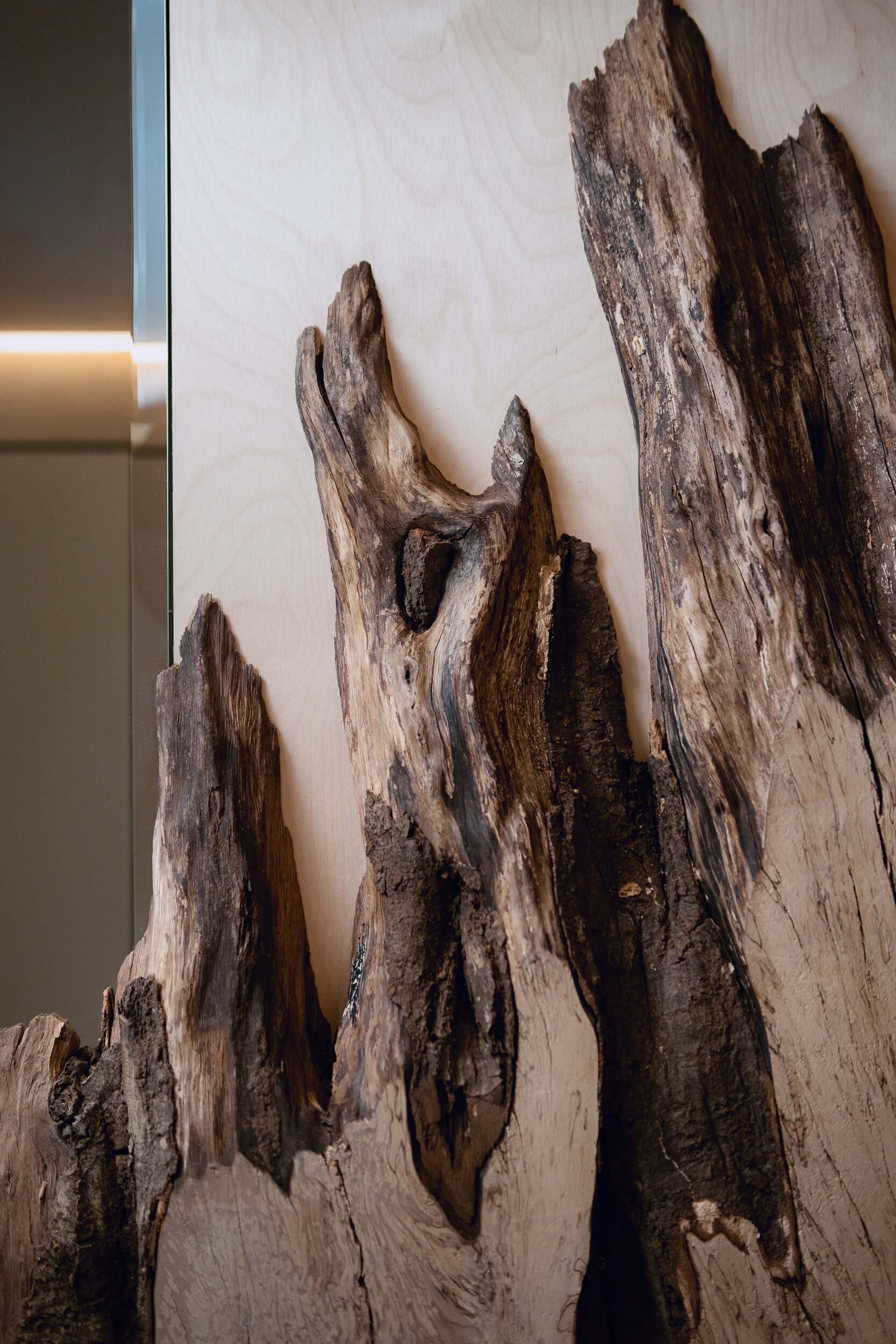 Фото Космос