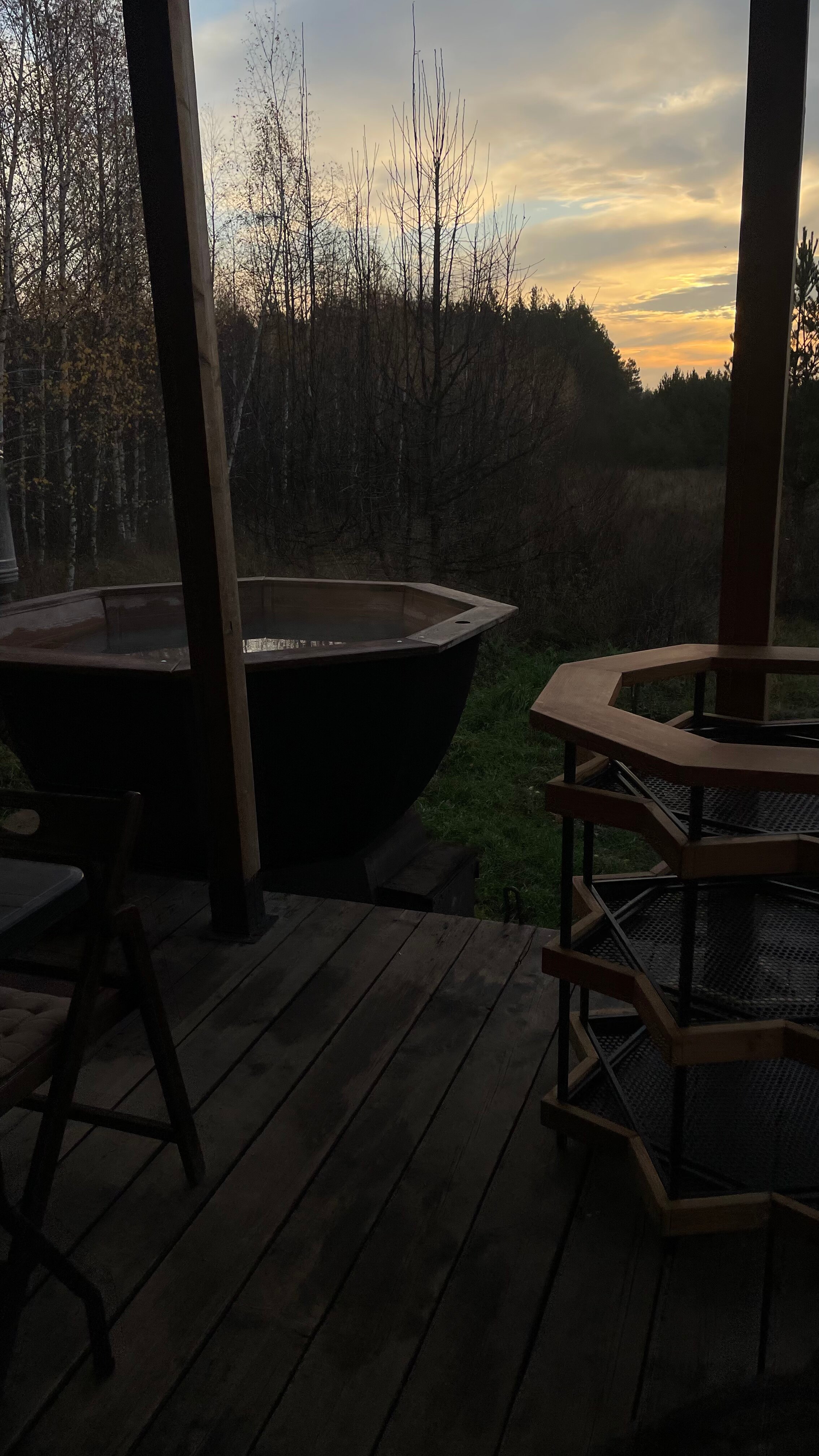 Фото Forest chan