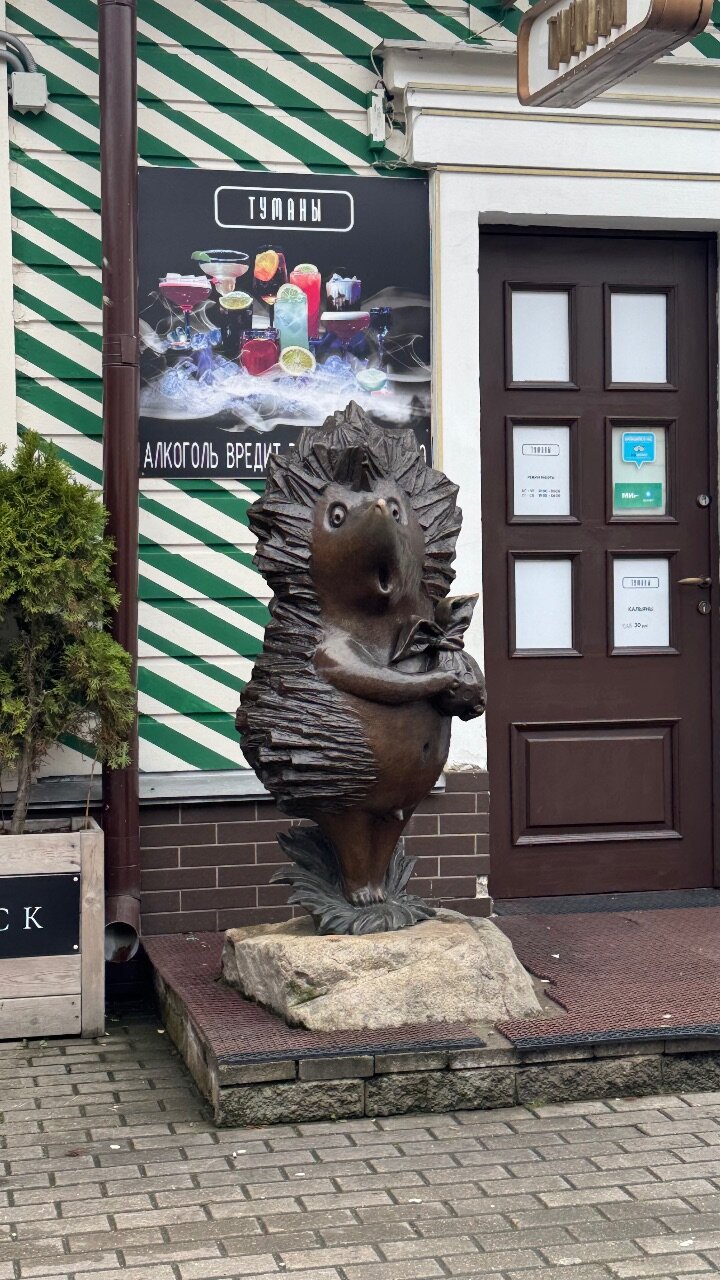 Фото Robinson-City