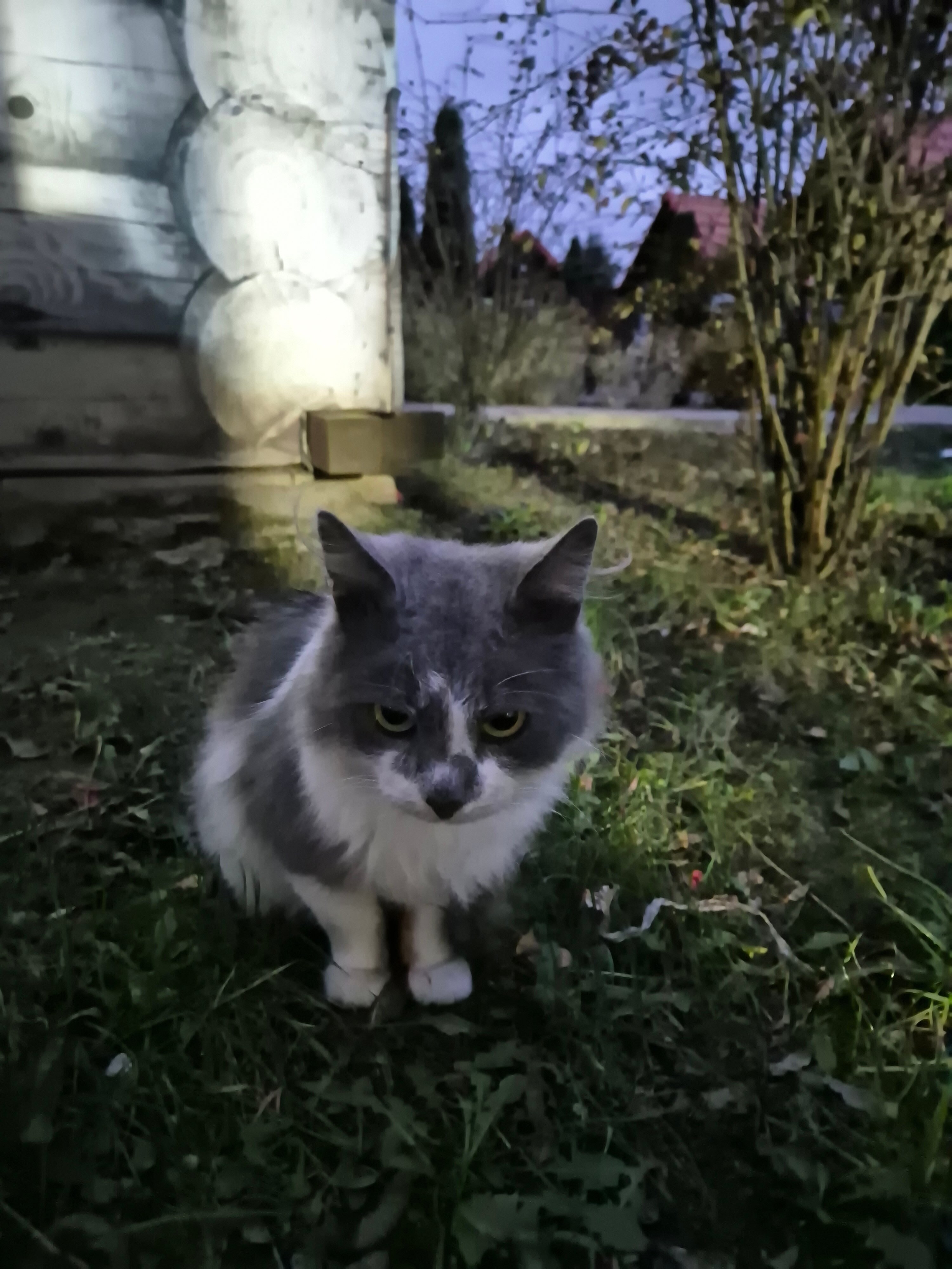 Фото Золотой ключик