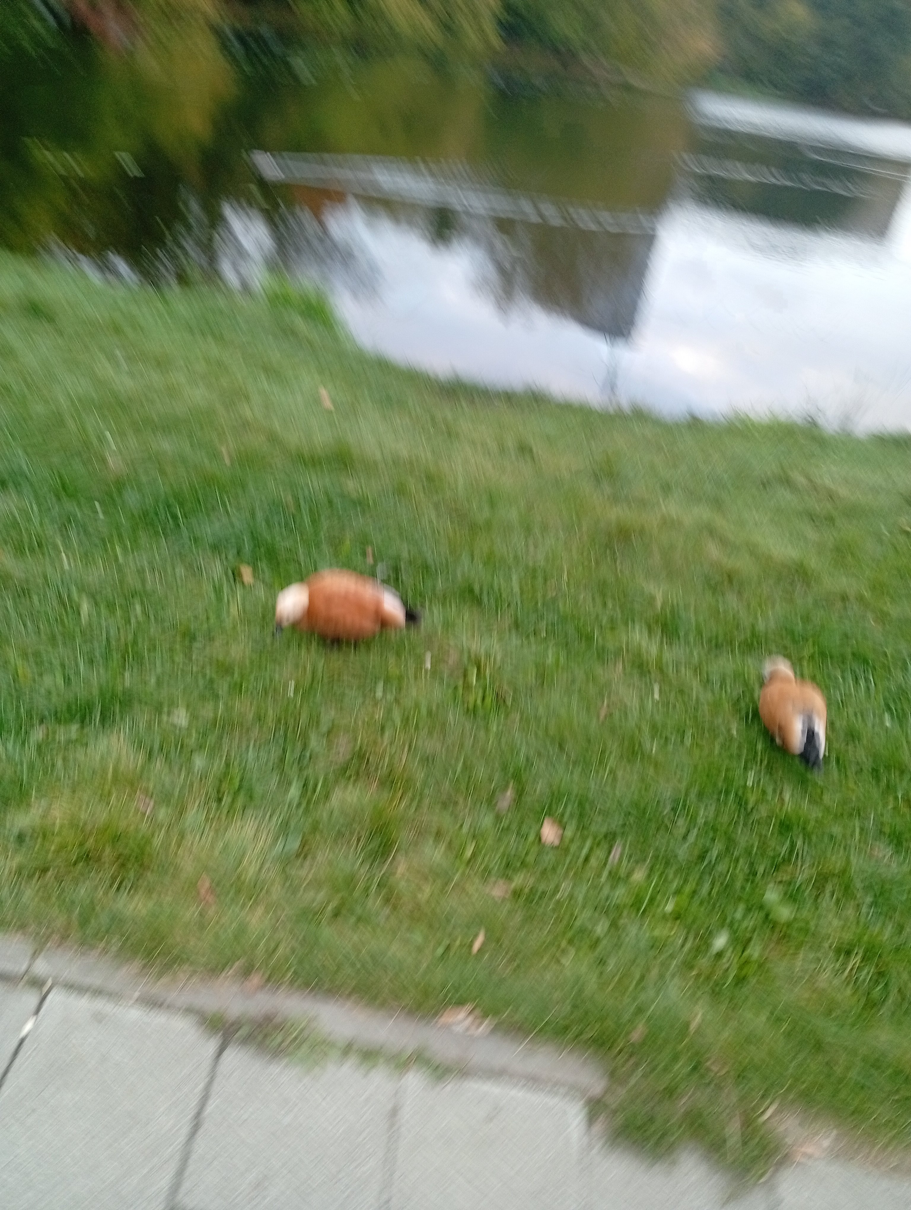 Фото Second house