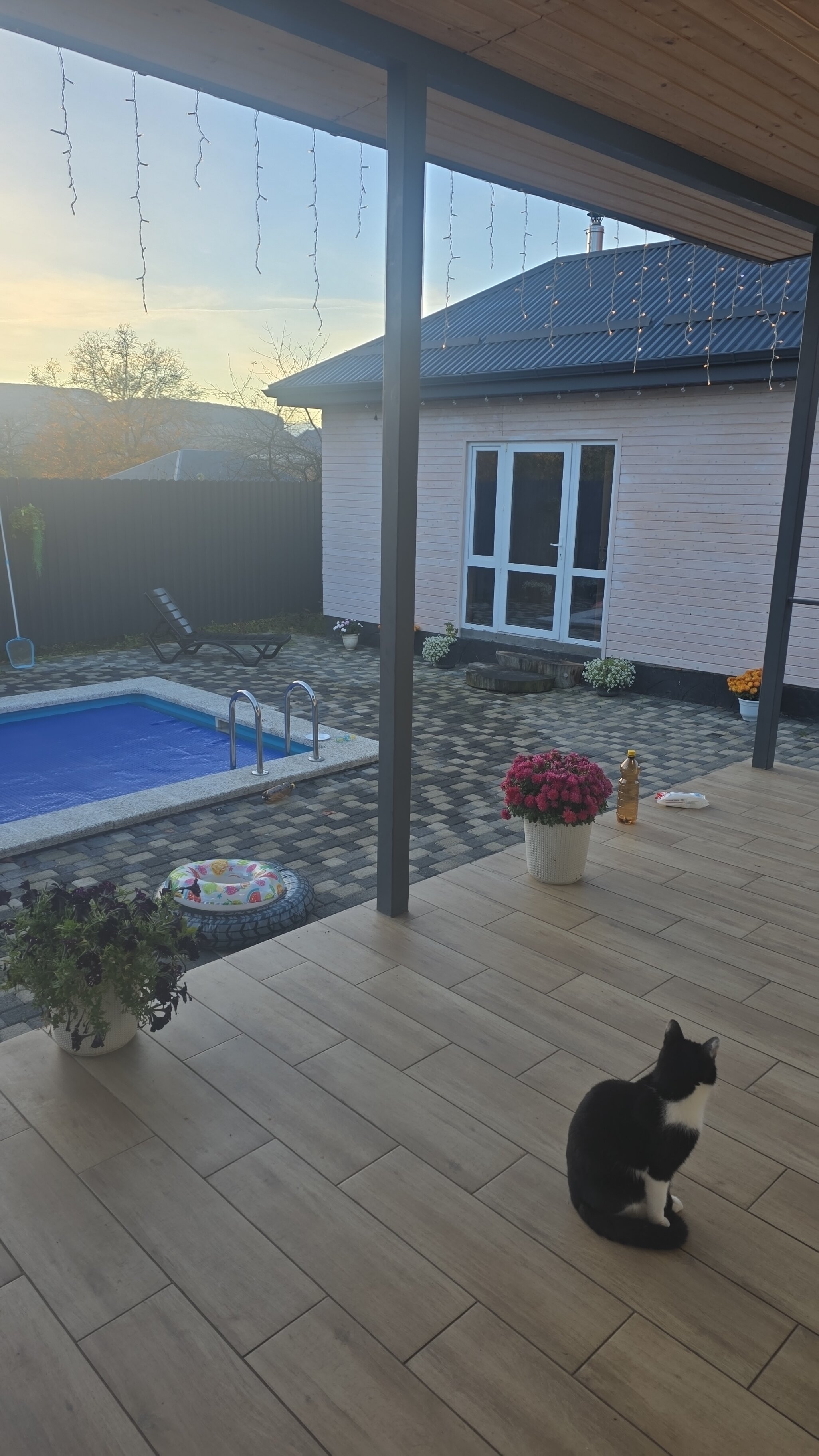 Фото Твой Дом