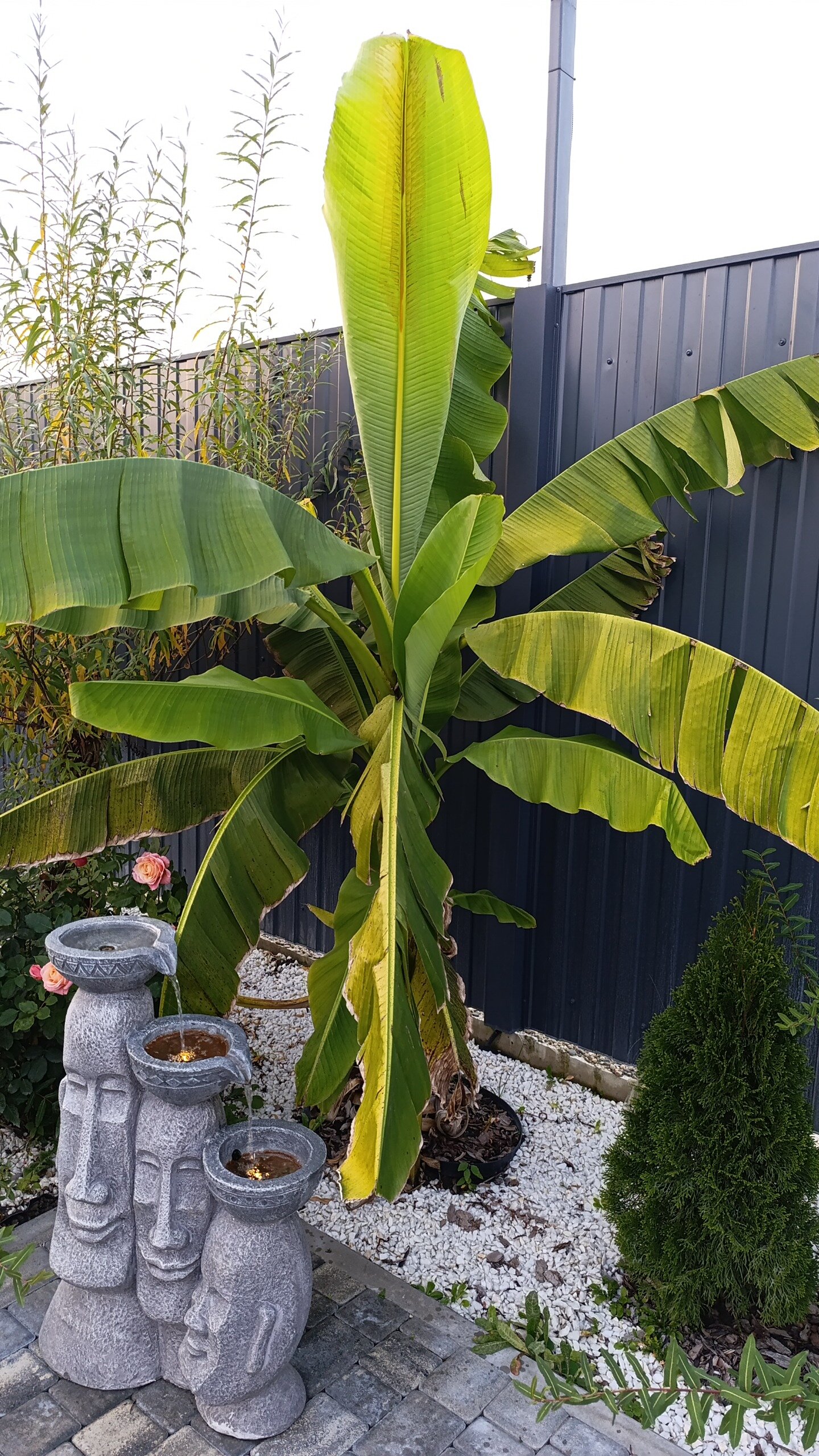 Фото Усадьба Намасте