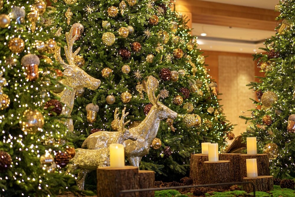 Фото Lotte Hotel Seoul Executive Tower