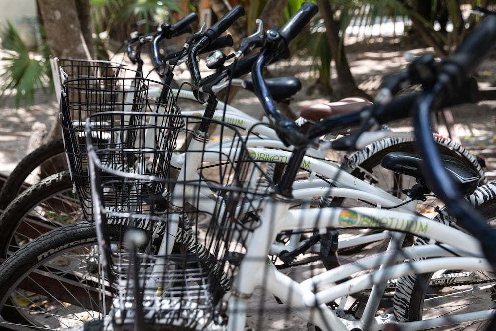 Фото La Zebra Colibri Boutique Hotels