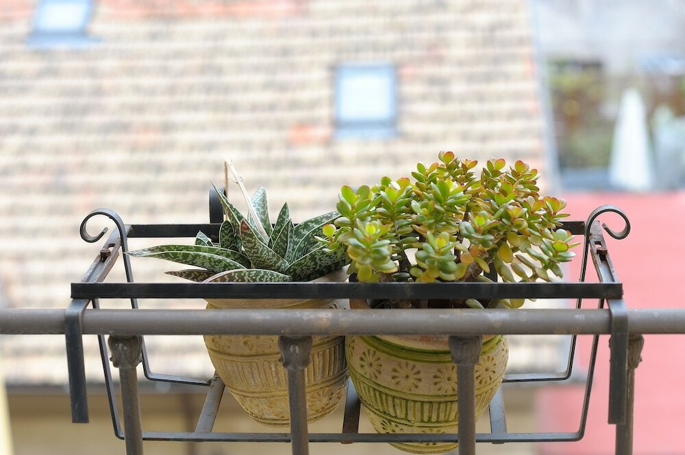 Фото Aquarius Inn