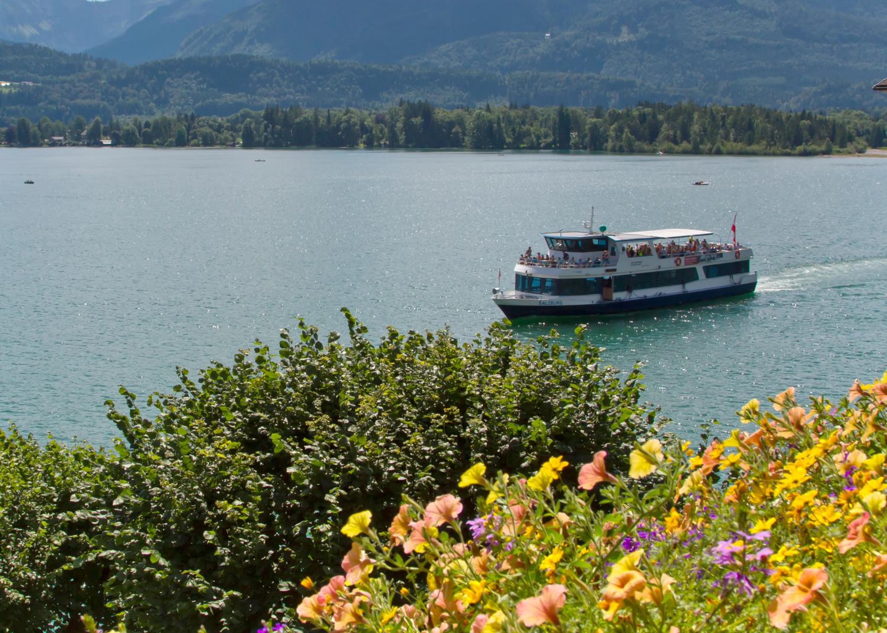 Фото Hotel Weisser Hirsch