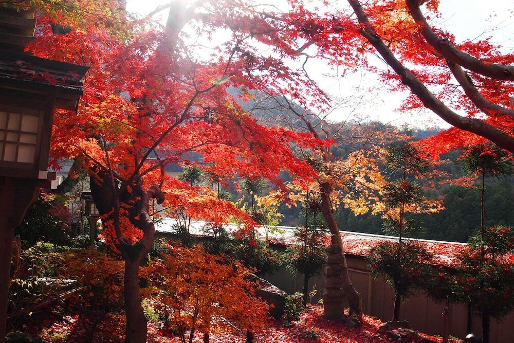 Фото Ryokan Nenrinbo
