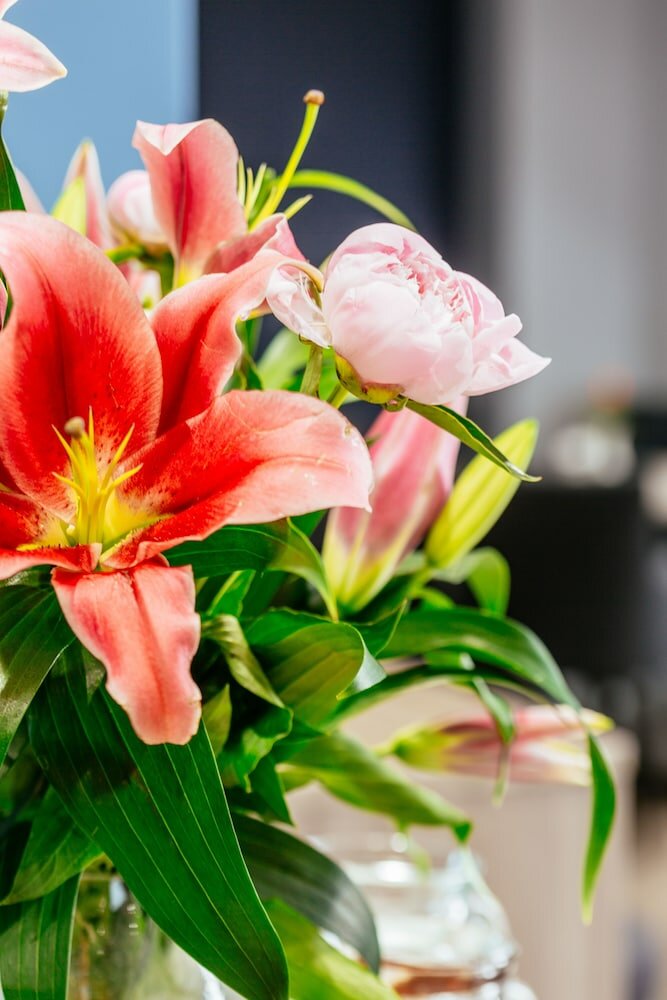 Фото Oliver Plaza