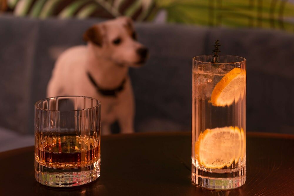 Фото Golden Tulip Opéra De Noailles