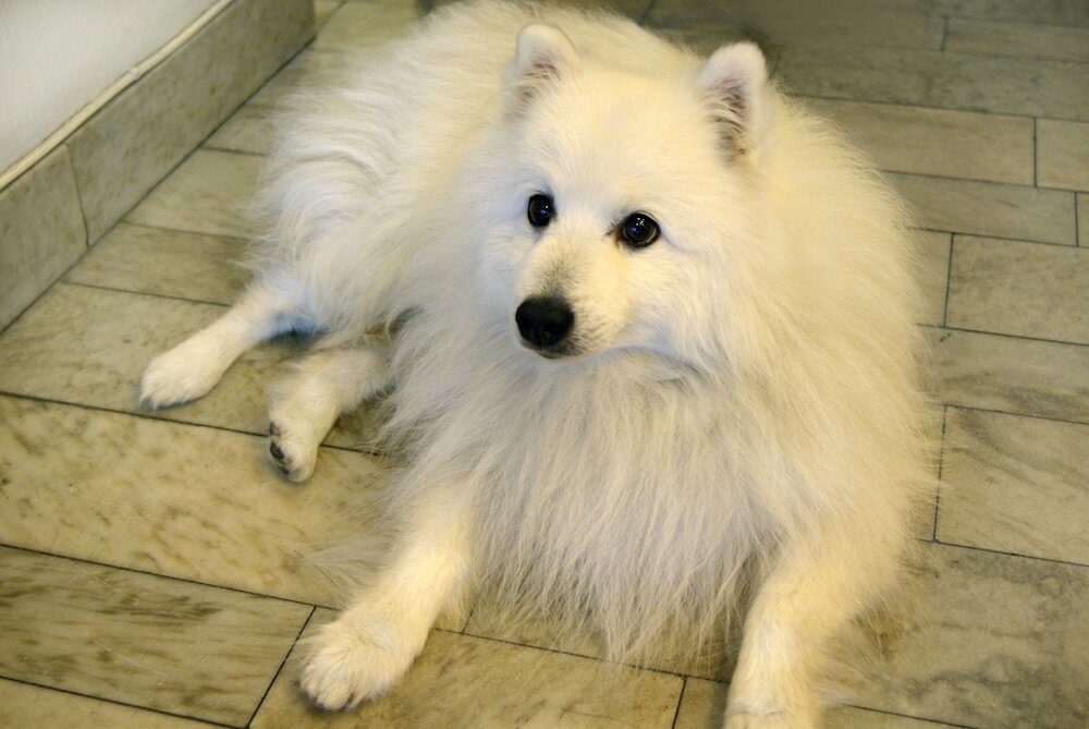 Фото Sure Hotel by Best Western City Jonkoping