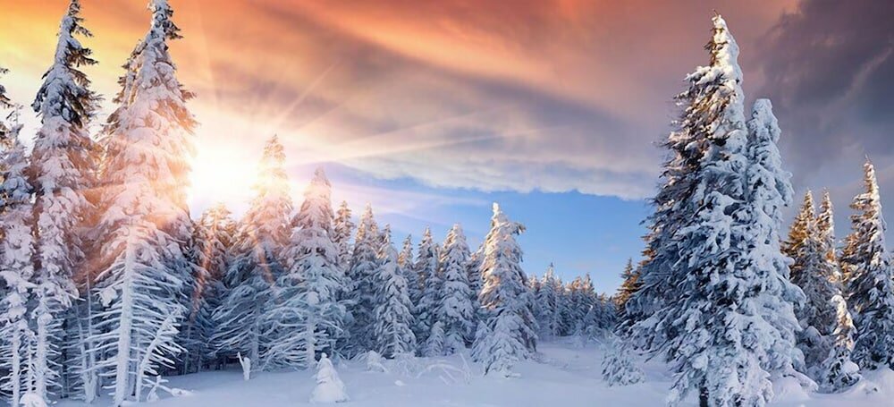 Фото Hotel an der Sonne