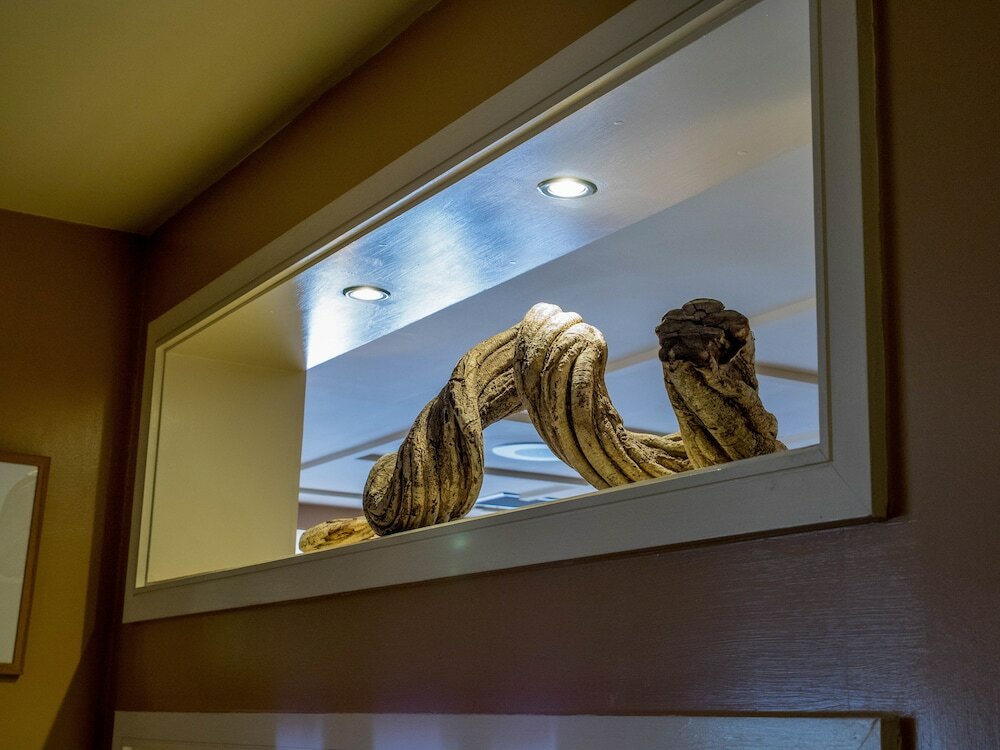 Фото Big Blue Hotel