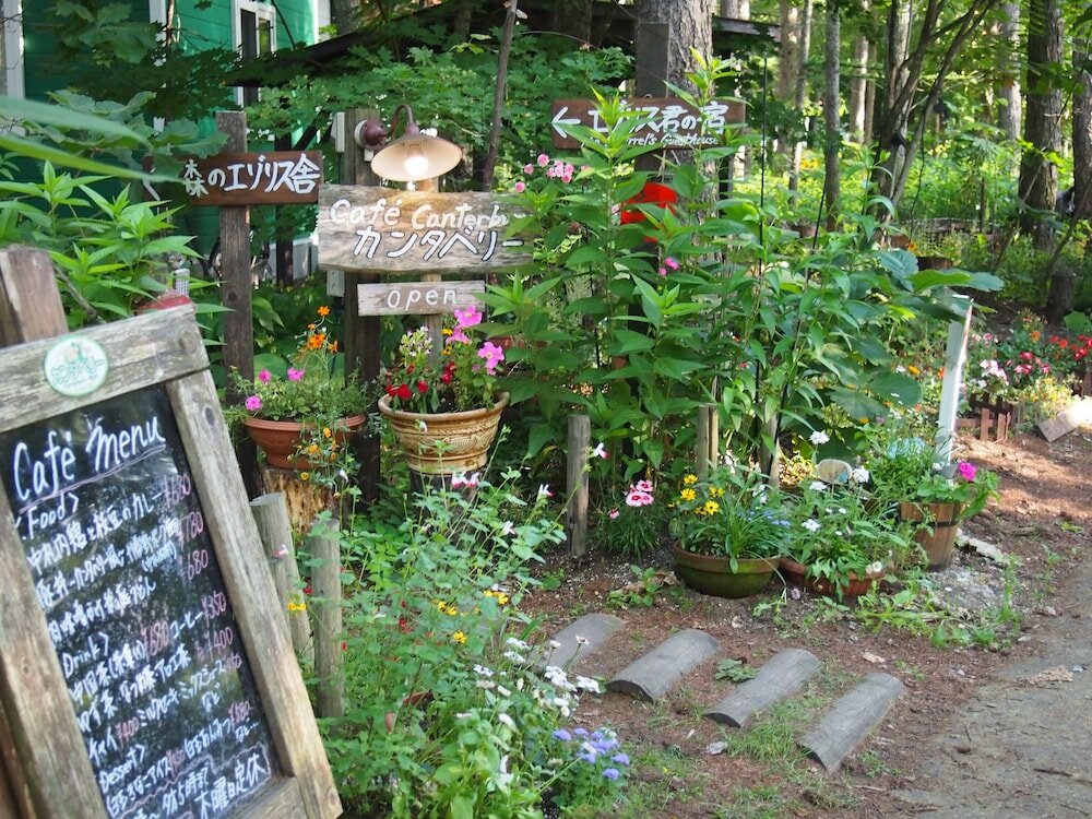 Фото The squirrel's guesthouse Canterbury