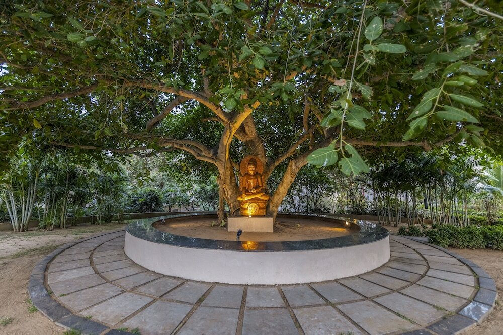 Фото Sterling Puri