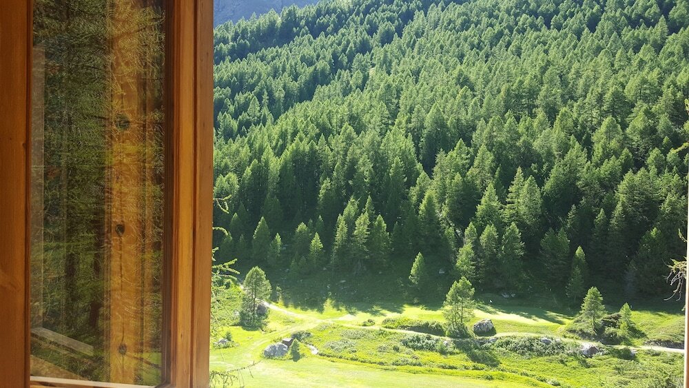 Фото Hotel Chalet Valdotain