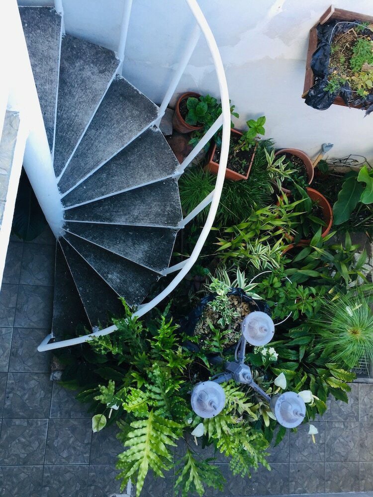 Фото Hotel Tazumal House