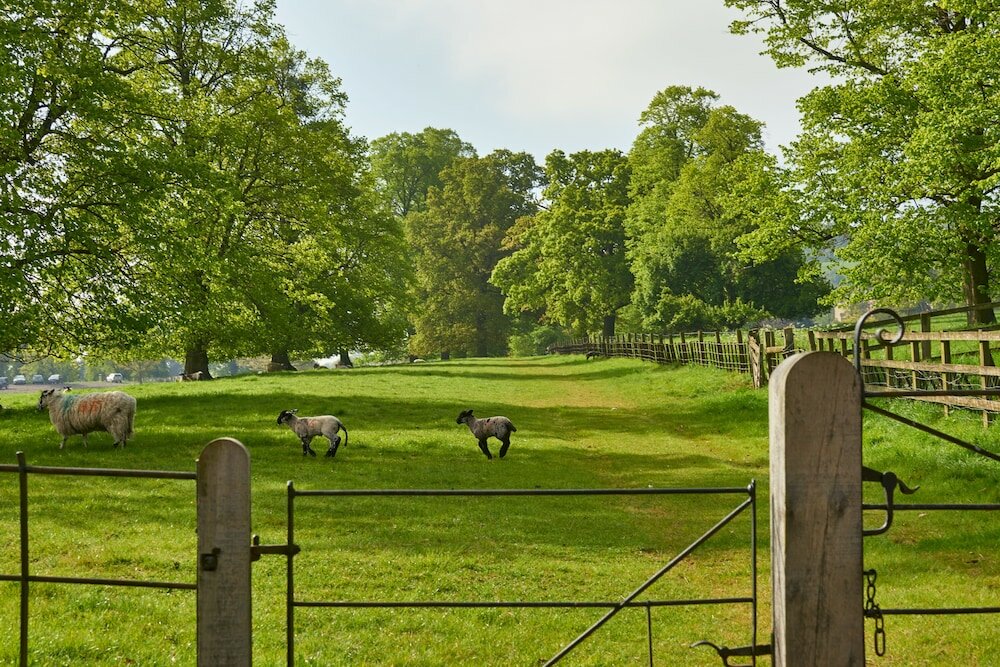 Фото 13561481265