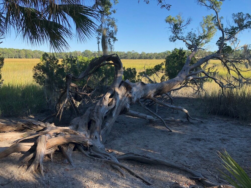 Фото The Inn on West Liberty