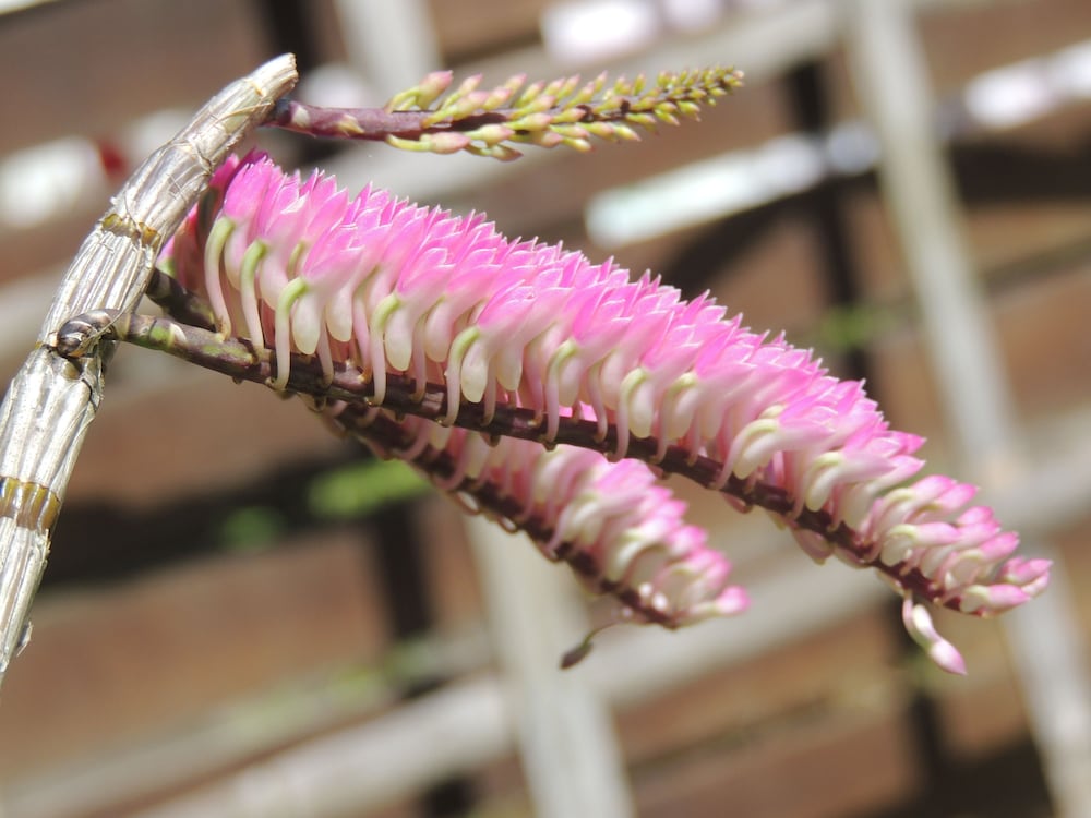 Фото Khaolak Grand City